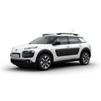 C4 Cactus